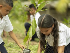 Actividades Medio Ambiente