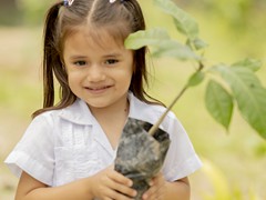 Actividades Medio Ambiente