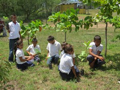 Actividades Medio Ambiente